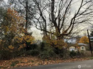 The home sits on a double lot, so there's plenty of room to build a shop.