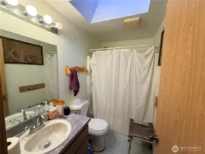 Full bathroom with a skylight.