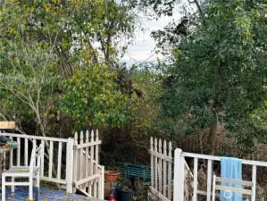 Back deck leads to the seasonal stream and Keystone Preserve. Be careful on the deck.