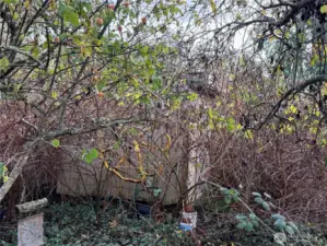 There is a shed back there!