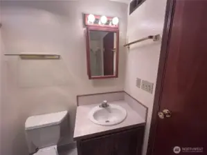 Lower Level Bathroom