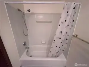 Lower Level Bathroom
