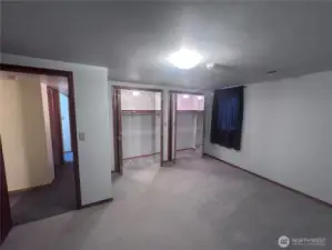 Primary Lower Level Bedroom