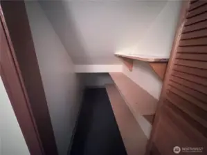 Under Stairs Storage