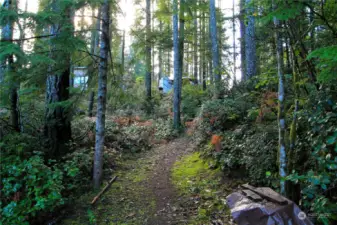 Looking up to the RV pad from the lakeside