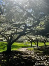 Beauty abounds at the private White Horse Crossing park.