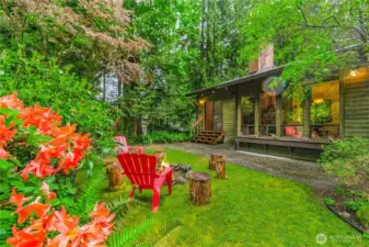 Beautiful backyard