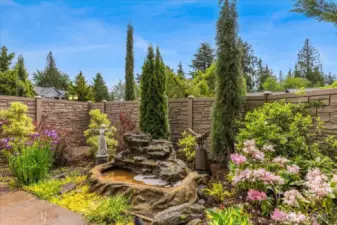 Front yard landscape