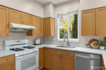 New quartz countertops, new sink, faucet and disposal