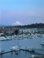 Here is your evening view from#613 showing the magnificant Mr Rainier.