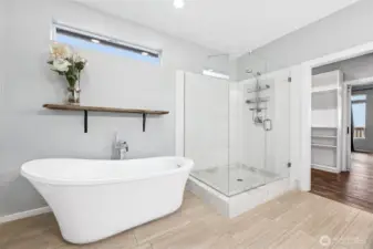Walk-in shower and free standing soaking tub