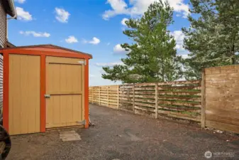 Side yard with storage shed