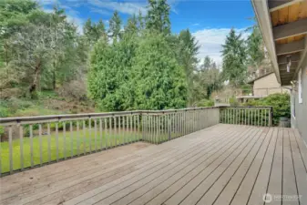 An exceptionally serene and scenic backyard, offering a rare sense of space and privacy.