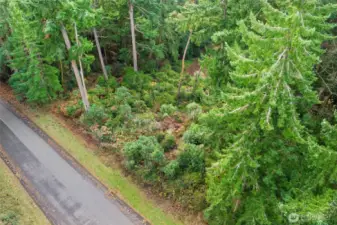 Easy paved access to the lot will make building effortless.