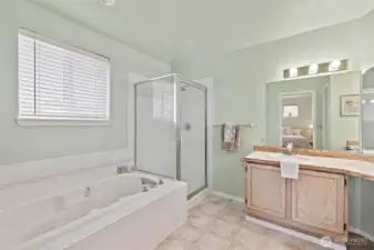 Huge primary en suite bath with soaking tub.