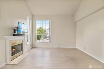 Gas fireplace.