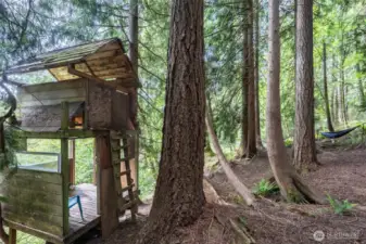 Rustic tree fort on the property.  Property is two lots - and adjacent to a greenbelt buffer.  Lot is almost a full 1/2 acre and with greenbelt and lives large.  Hammocks and a zipline!