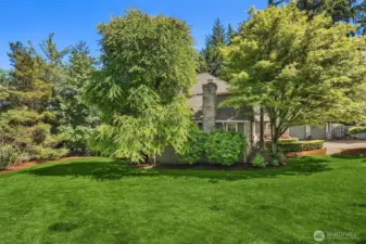 The soft manicured lawn invites barefoot moments