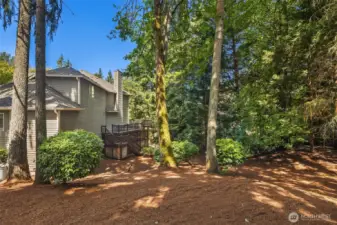 This area of the yard is partially fenced. Room for a playset. Playing in woods sparks outdoor adventures. It makes a great, yet gentle, sledding hill on snowy days too.