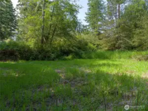Easement