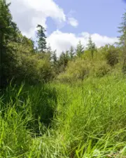 Ground level view looking west