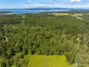 Eastern property line starts beyond large clearing and extends Westward