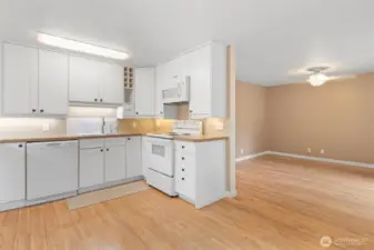 Kitchen and living room view