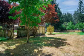 Back yard towards greenhouse and pumphouse