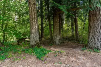 Picnic area of Deschutes parcel