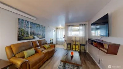 Lower level living room