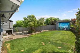 Fenced back yard area with shed