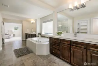 Luxurious bathroom