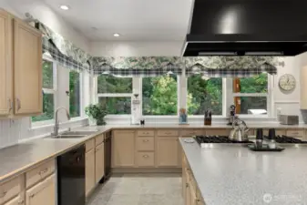 Kitchen view