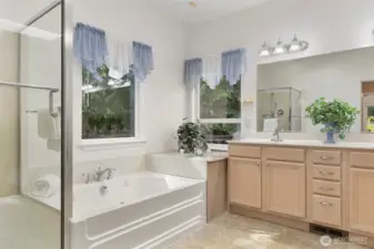 Primary Bath