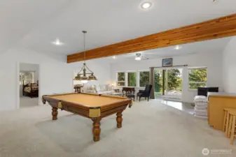 Lower floor rec room
