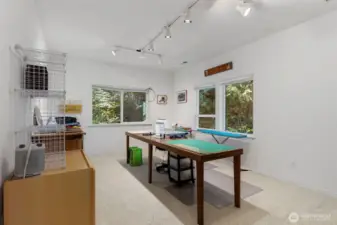 Lower floor bedroom / currently craft room