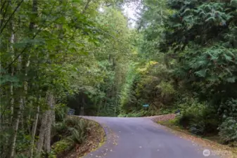 Access road leading to the property through the Chuckanut Crest gated community.