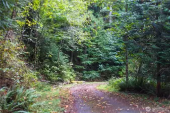 Private drive leading to the property.