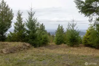 Ground level looking North from the build site.