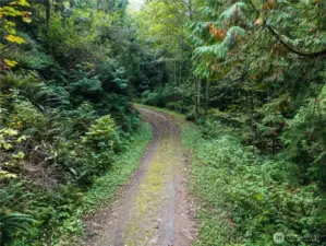 The secluded drive to the build site.