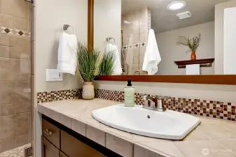 Primary bath has walk-in shower and separate bathtub.
