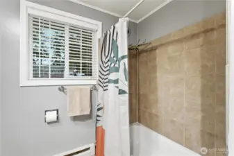 main bath shower/tub