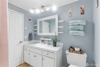 main bath vanity and toilet