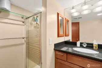 Lower level ADU w/ bedroom, gas fireplace, living room, 3/4 bath, kitchen, laundry and access to 1 car garage.