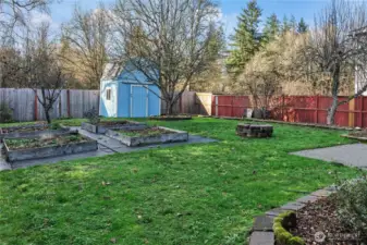 Back Yard with Shed