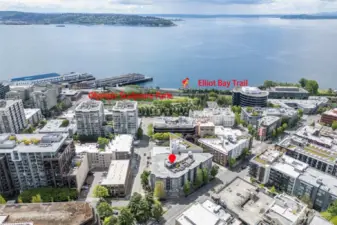 Walking distance to the water & Elliot Bay Trail & Olympic Scuplture Park
