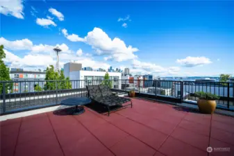 Roof top deck with space needal and Sound Views