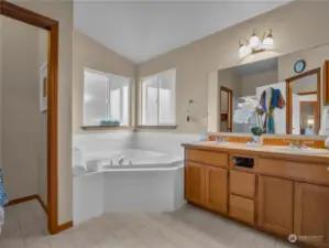 The five piece primary bathroom offers plenty of counter space and double sinks.