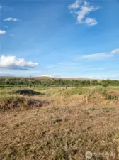 View facing northeast facing Wade Rd.
