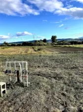 5 zone irrigation system for the property